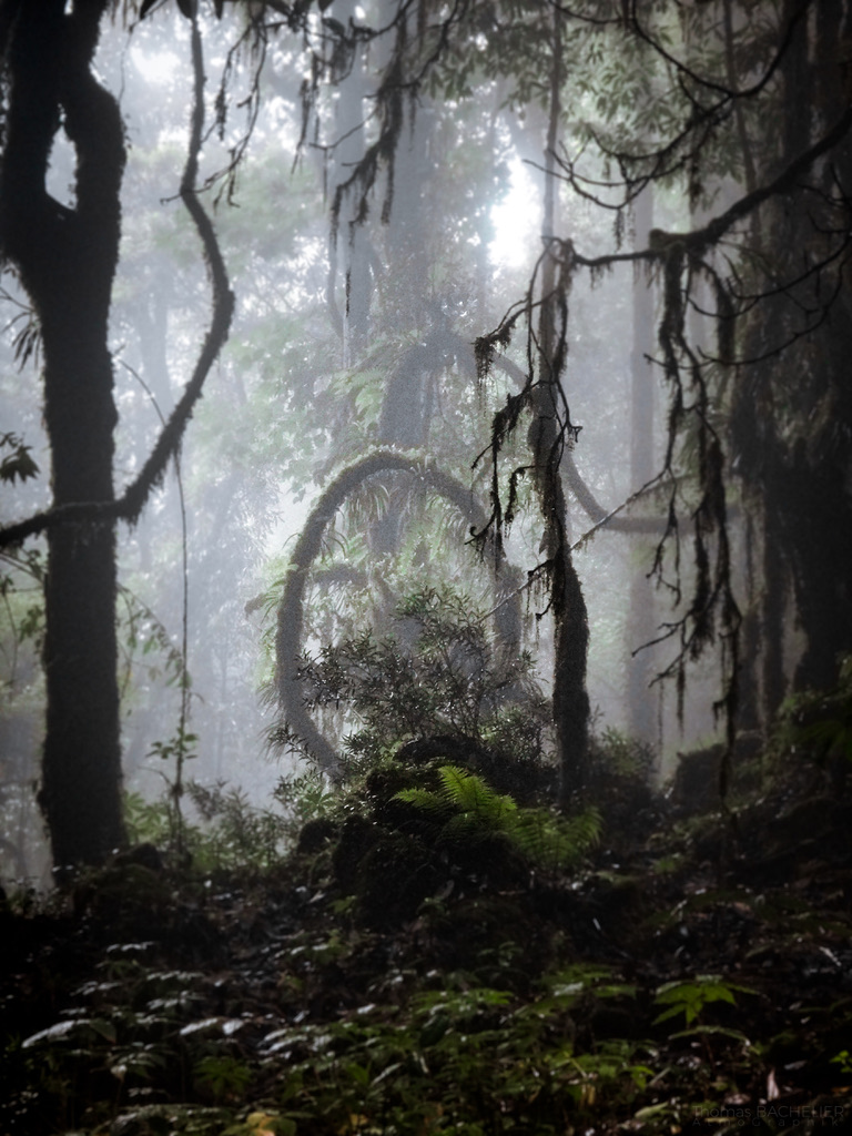 Je suis d’ailleurs et je me bats pour le vivant seulement.